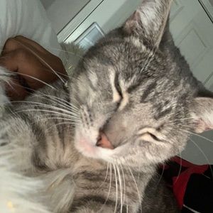 Meet your Posher, Marisol